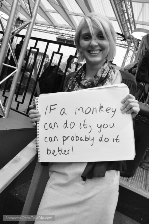 If A Monkey Can Do It, You Can Probably Do It Better