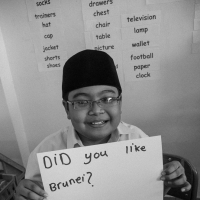 Did You Like Brunei?