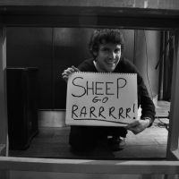 Sheep Go Rarrrrr!